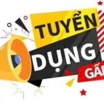 Công ty TNHH Quốc tế Vina KNF tuyển dụng quản lý, chuyên gia, lao động kỳ thuật cao ngành may mặc